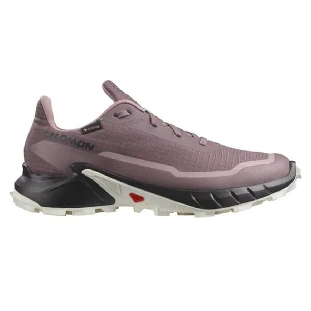 Salomon Alphacross 5 Gtx W Kadın Outdoor Ayakkabı L47311000