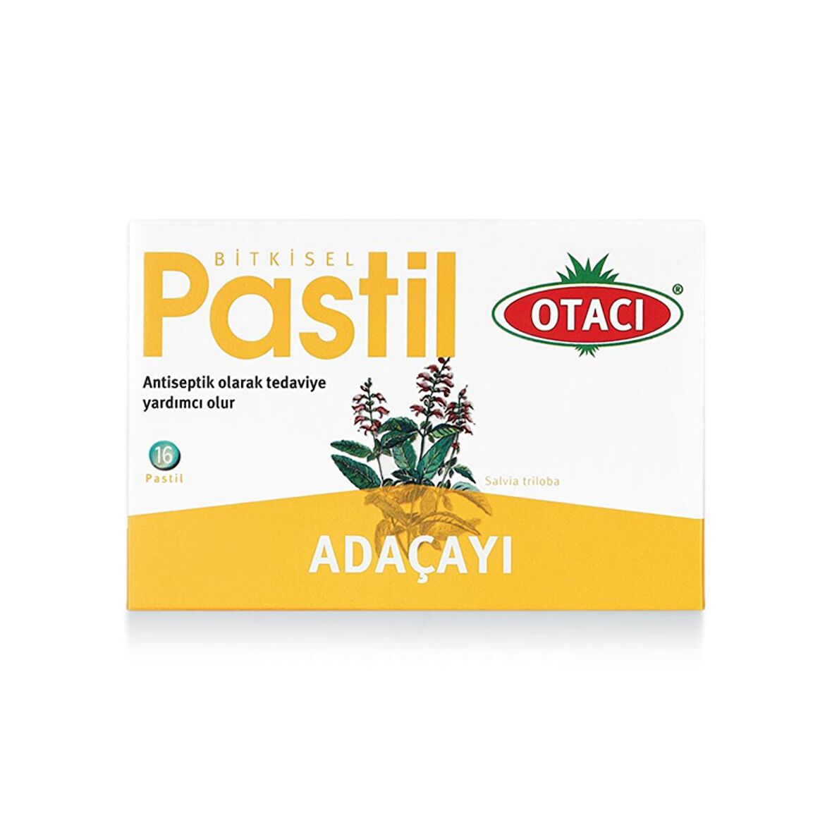 Otacı Pastil Adaçayı 16 Pastil