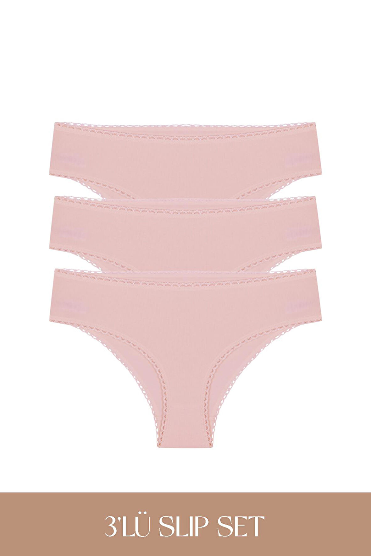 Cotvie Gül Kurusu Pamuklu Slip 3'lü Set Külot