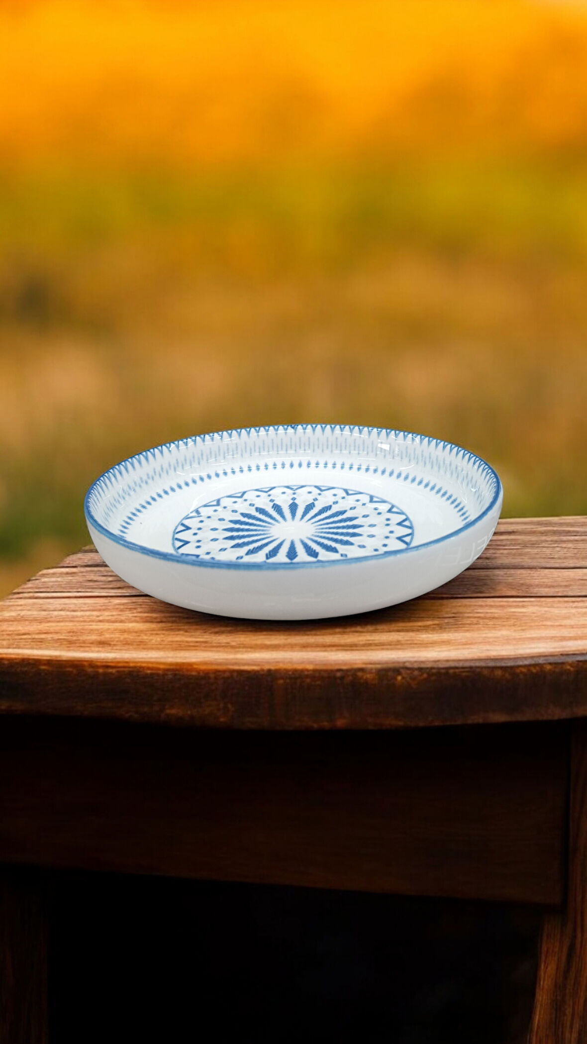 Güral porselen 2 adet 23 cm şuje salata tabağı e48