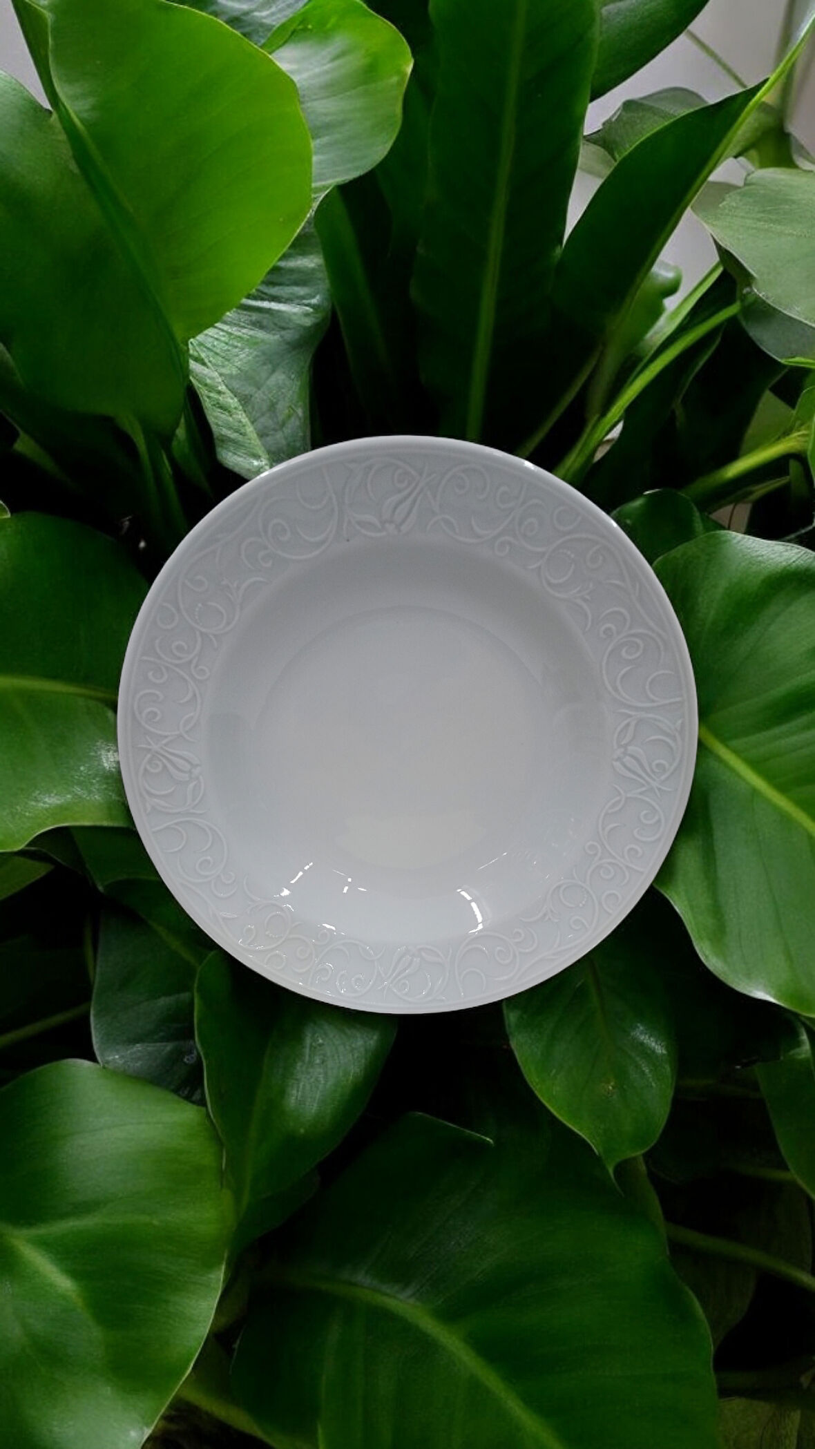 Güral porselen 6 adet  bahar dalı 22 cm çukur tabak 