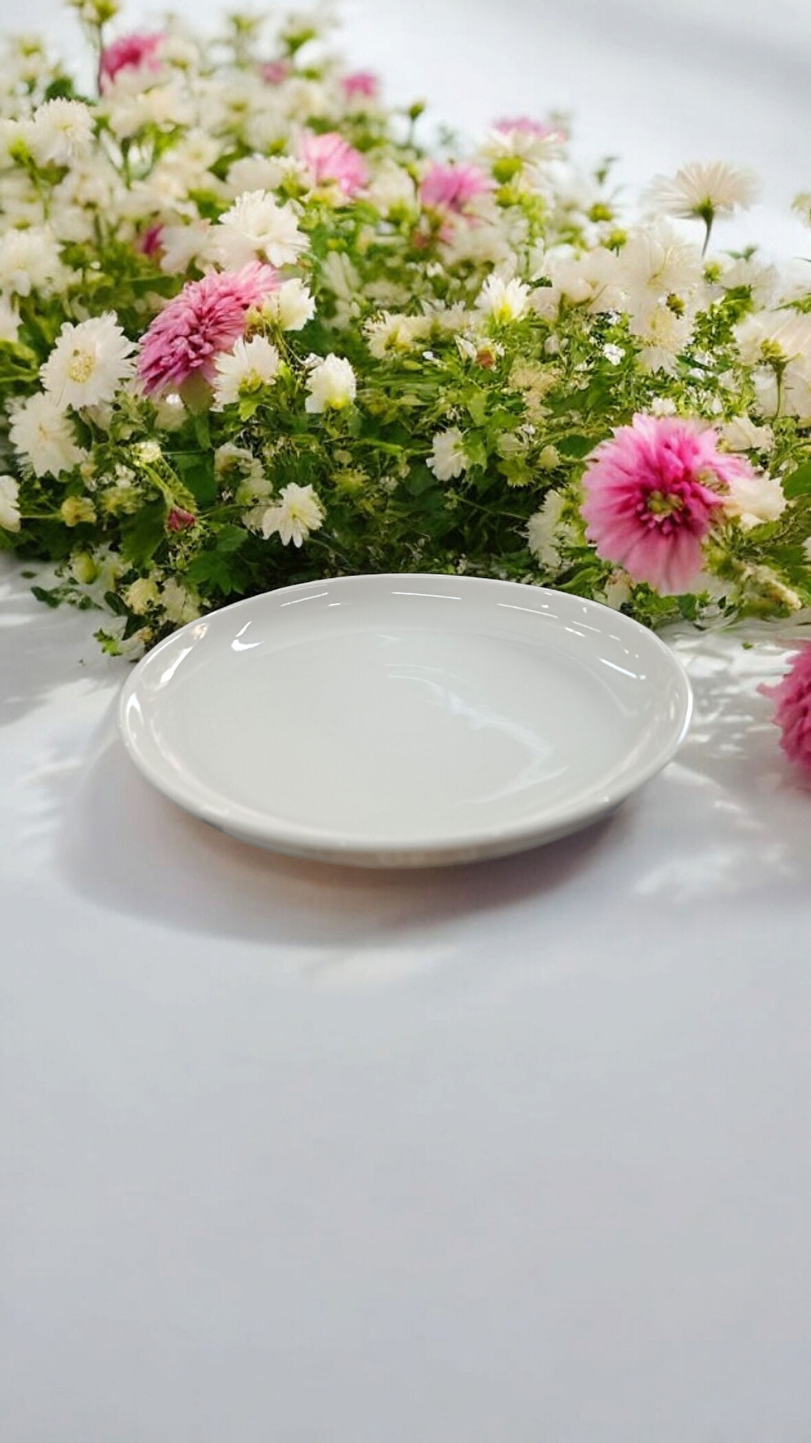 Güral porselen 6 adet  18 cm krem düz tabak gbsblb15 