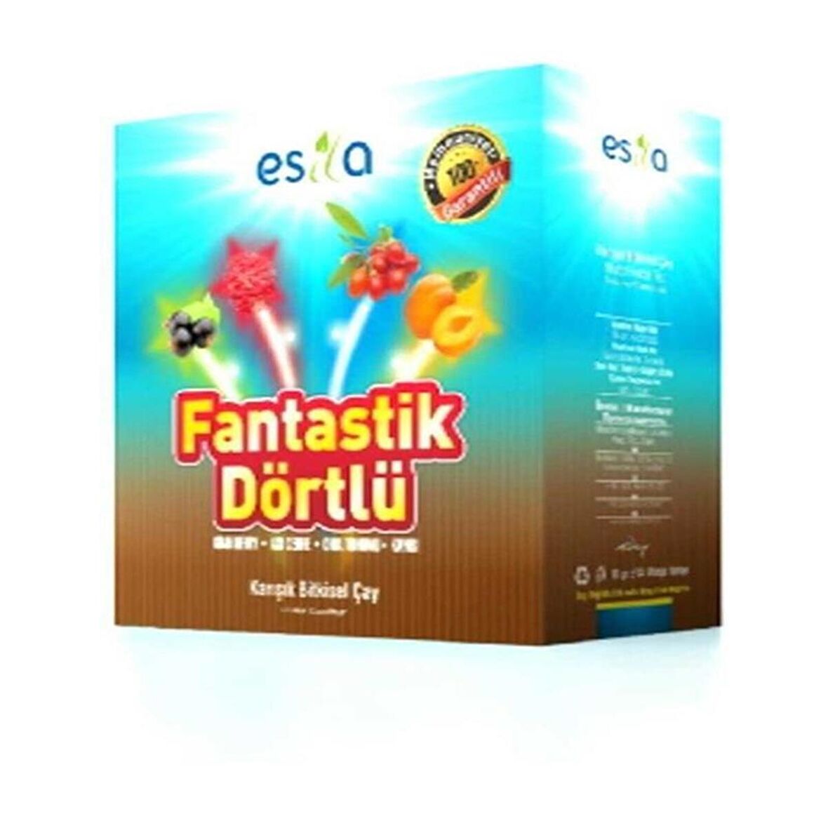 Esila Fantastik 4'lü Yaz Çayı 45 Süzen Poşet