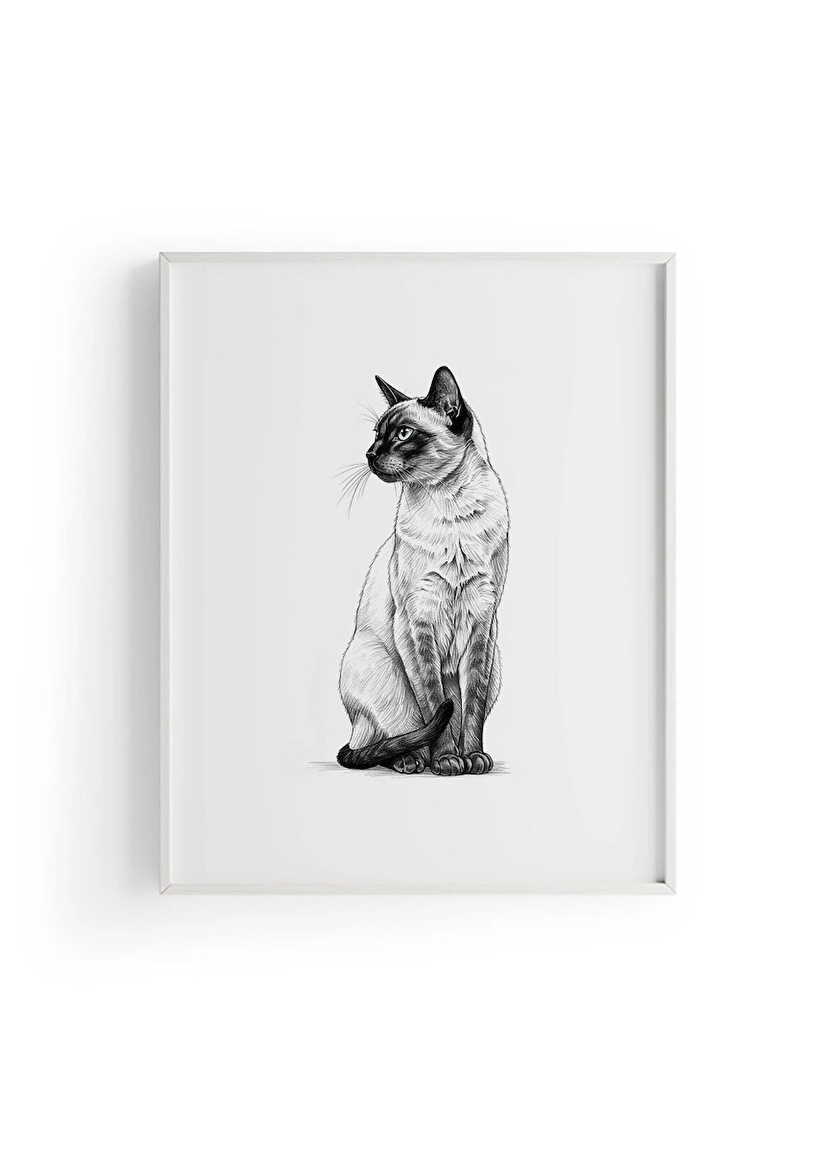 Karakalem Koleksiyonu Kedi Posteri