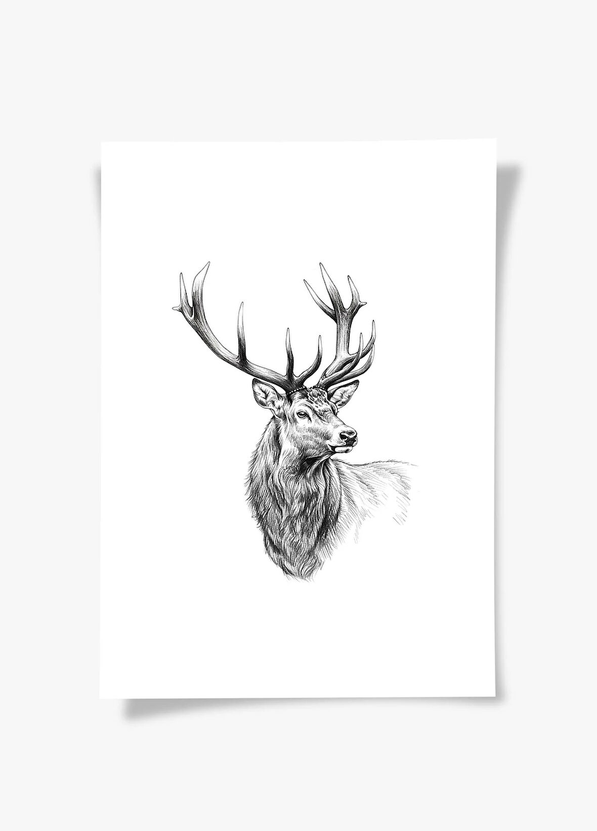 Karakalem Koleksiyonu Geyik Posteri