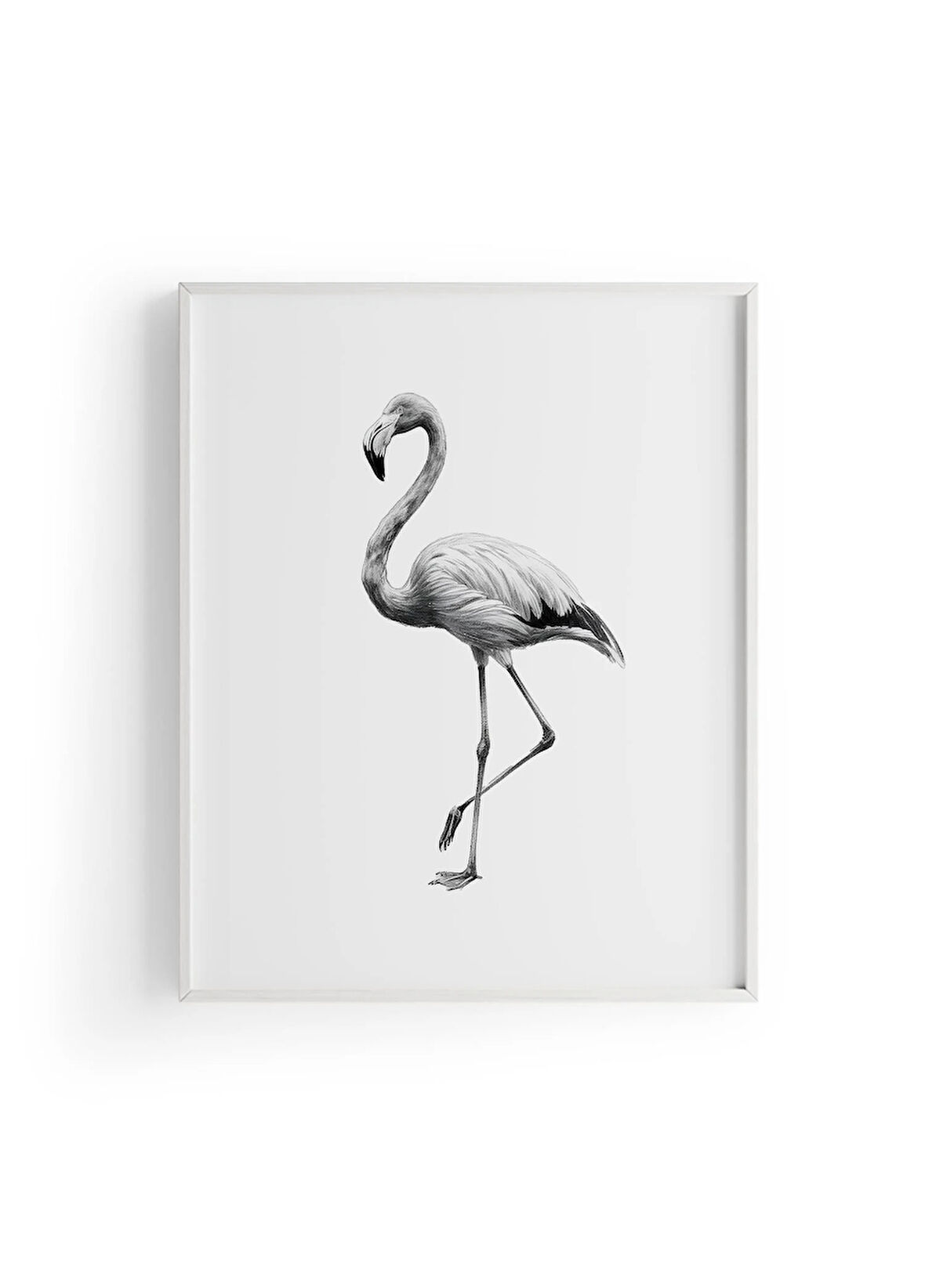 Karakalem Koleksiyonu Flamingo Posteri