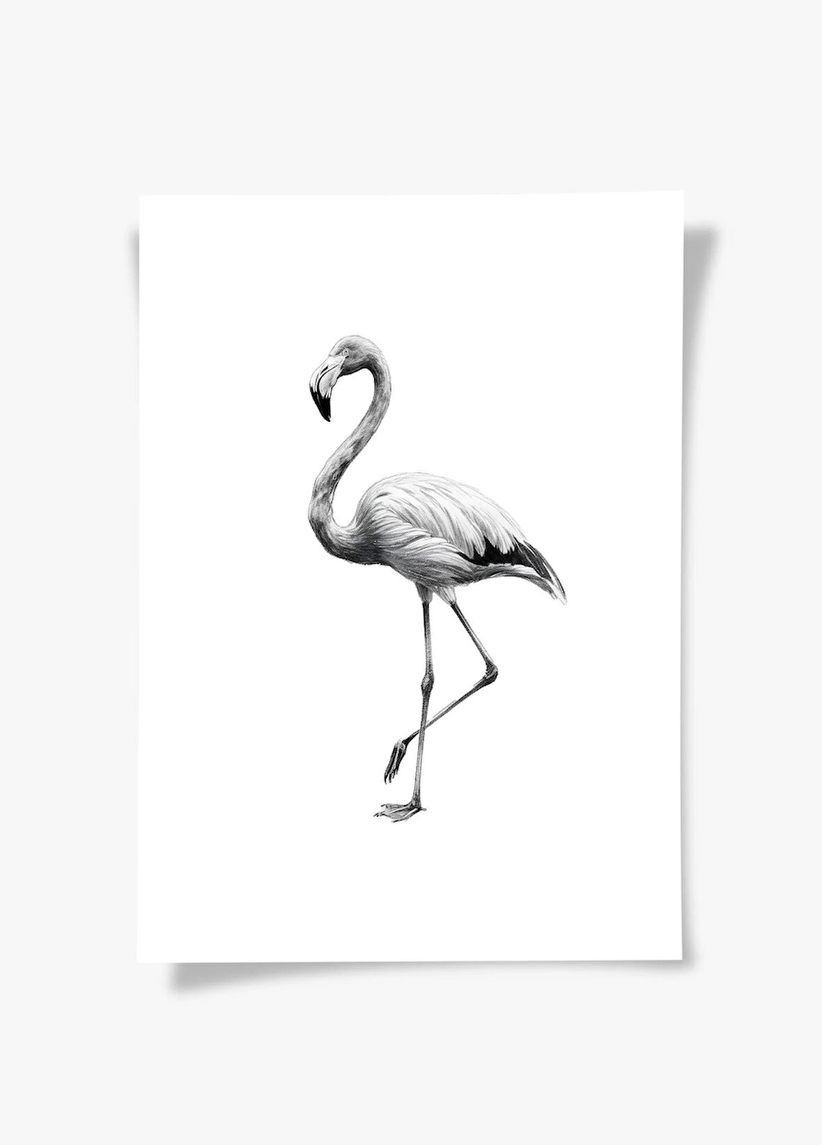 Karakalem Koleksiyonu Flamingo Posteri