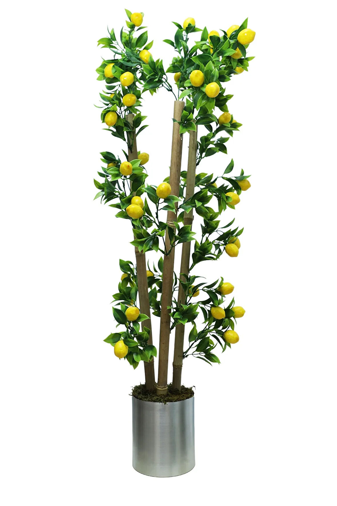 Limon Bambu Saksı 100cm 12x12 Metal Saksı