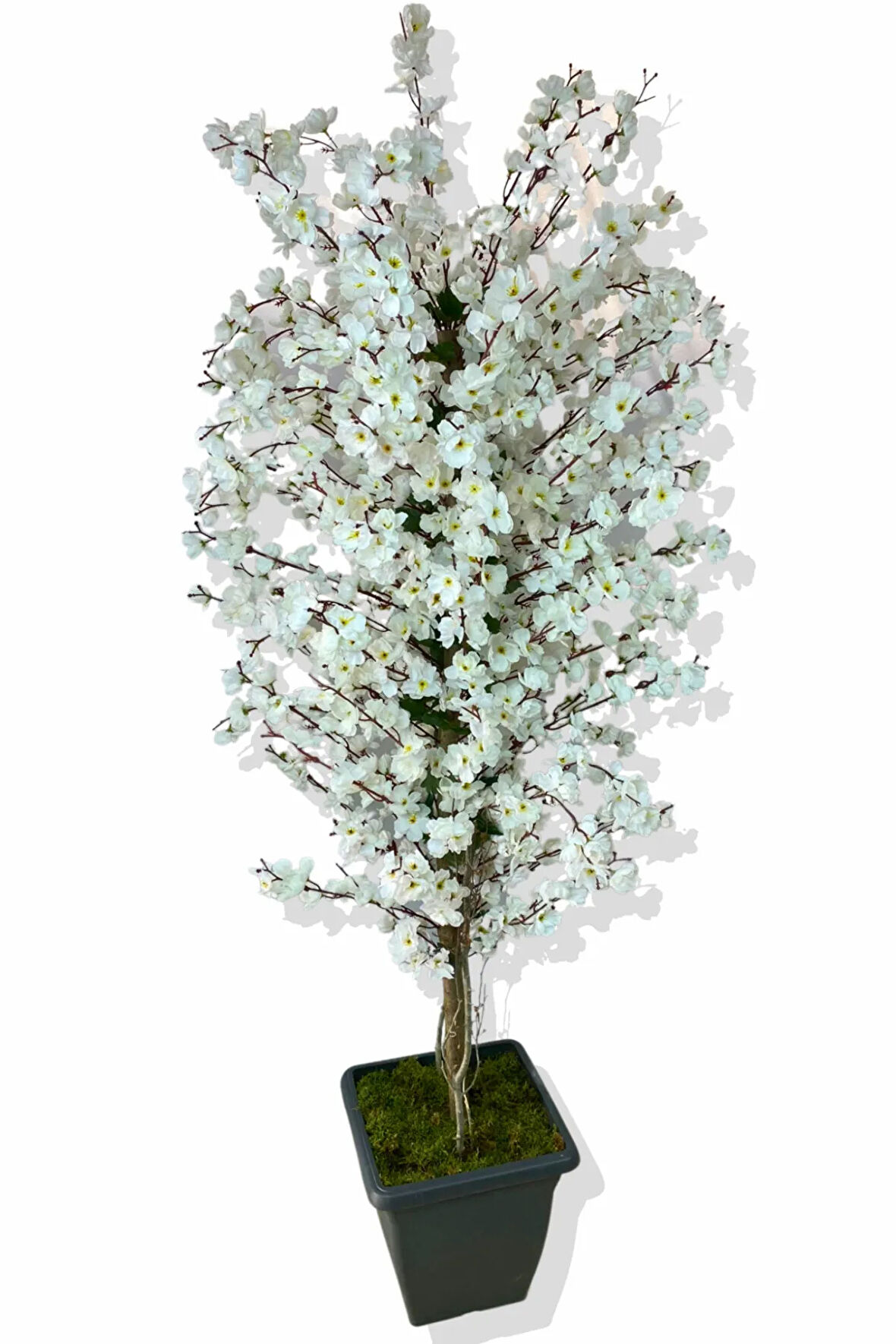 Yapay Ağaç Bahar Dalı Beyaz 180cm