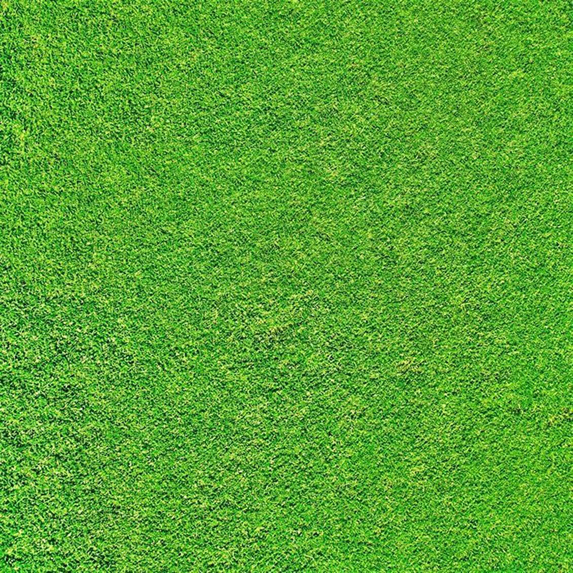 Açık Yeşil Mimari Maketler İçin Hazır Çim Kaplama, 33X41 Cm