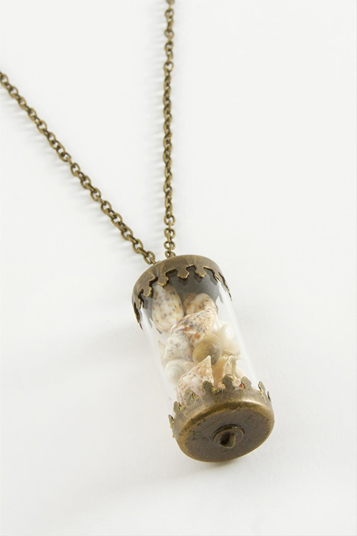 Deniz Kabuğu Fanus Canlı Kolye