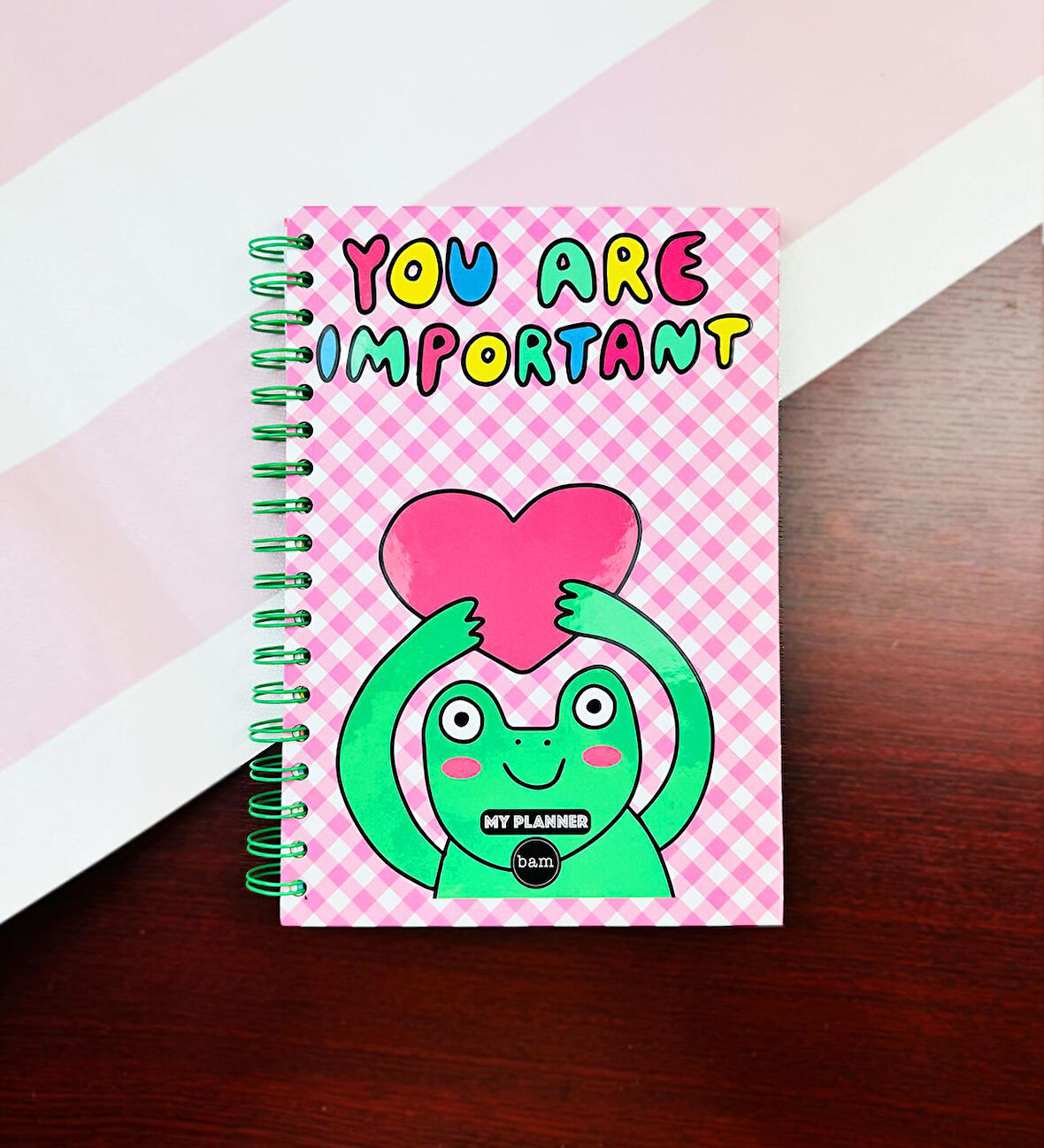 You Are Important Tasarımlı Konuşan Ajanda