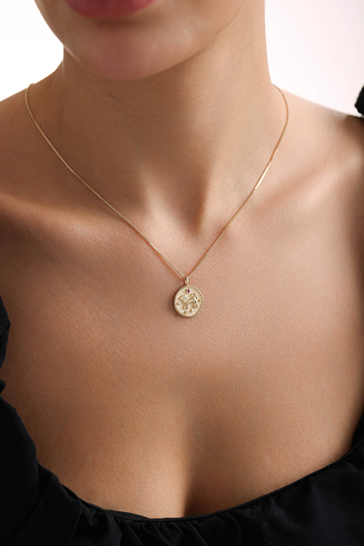 Zodiac Burç Aslan Kolye