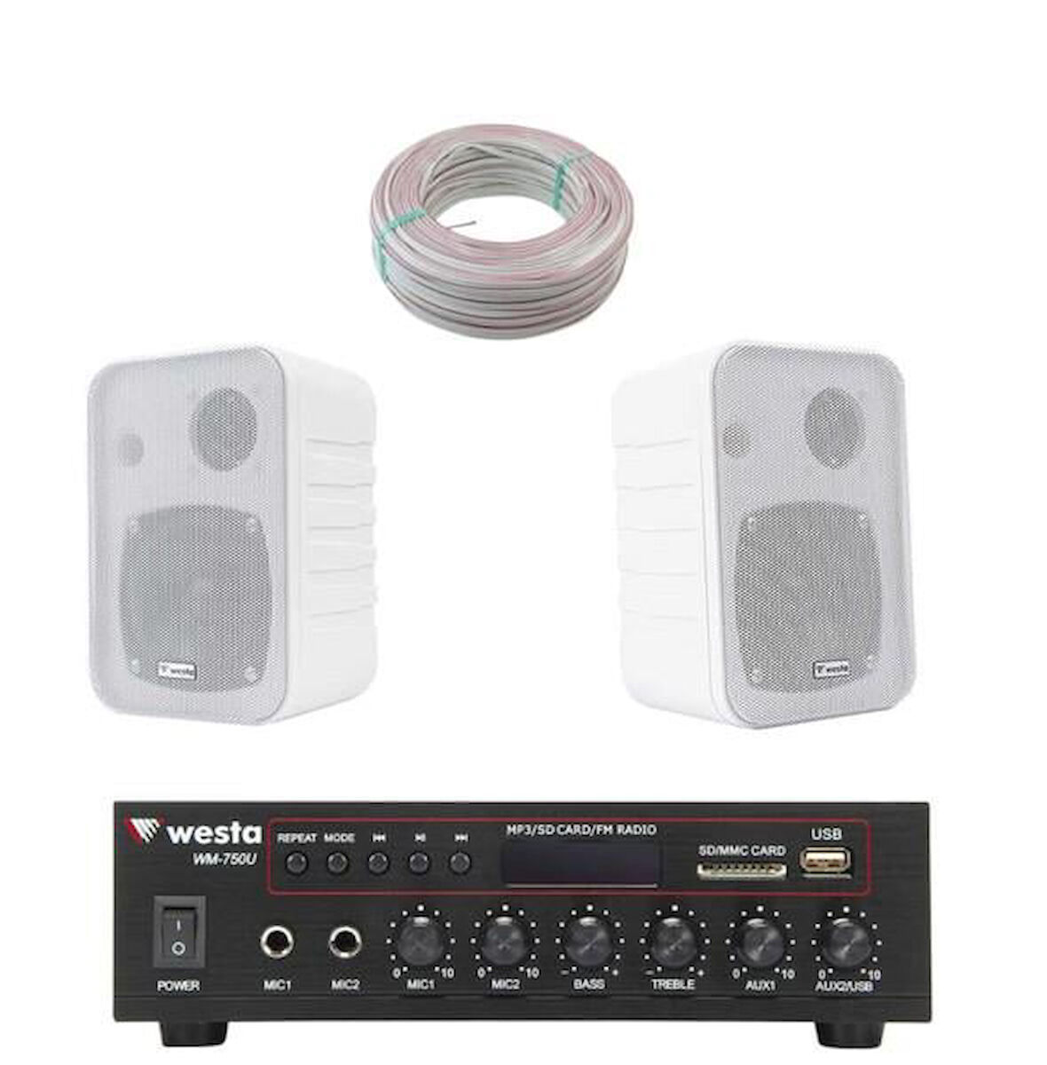 2 Hoparlör Masaj Salonu Ses Sistemi, Cafe Ses Sistemi, Spa Ses Sistemi, Hoparlör ve Amfi Hazır Set