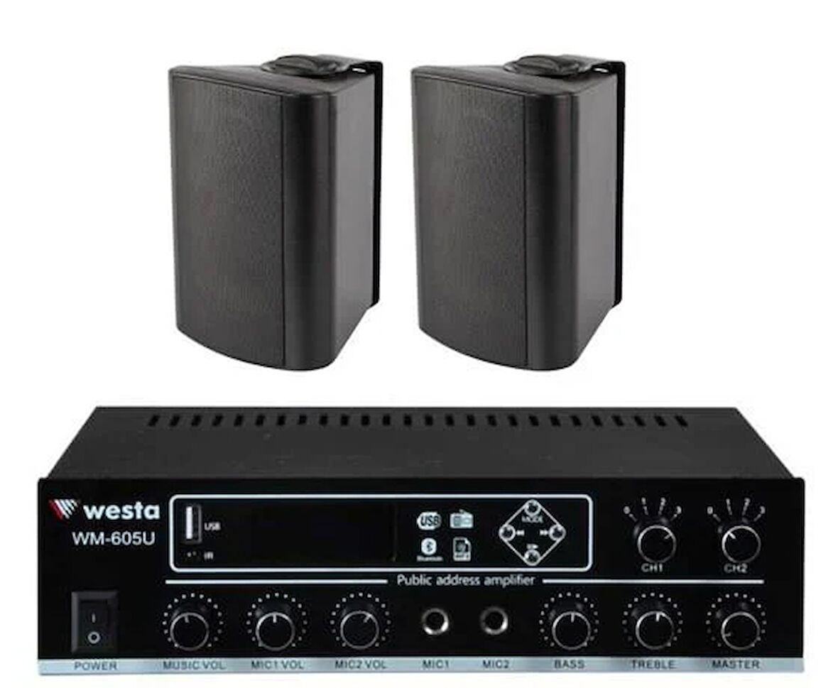 2 Adet 6,5'' Profesyonel Cafe, Okul ,  Mağaza Ses Sistemi, Amfi ve Hoparlör Hazır Set  Siyah