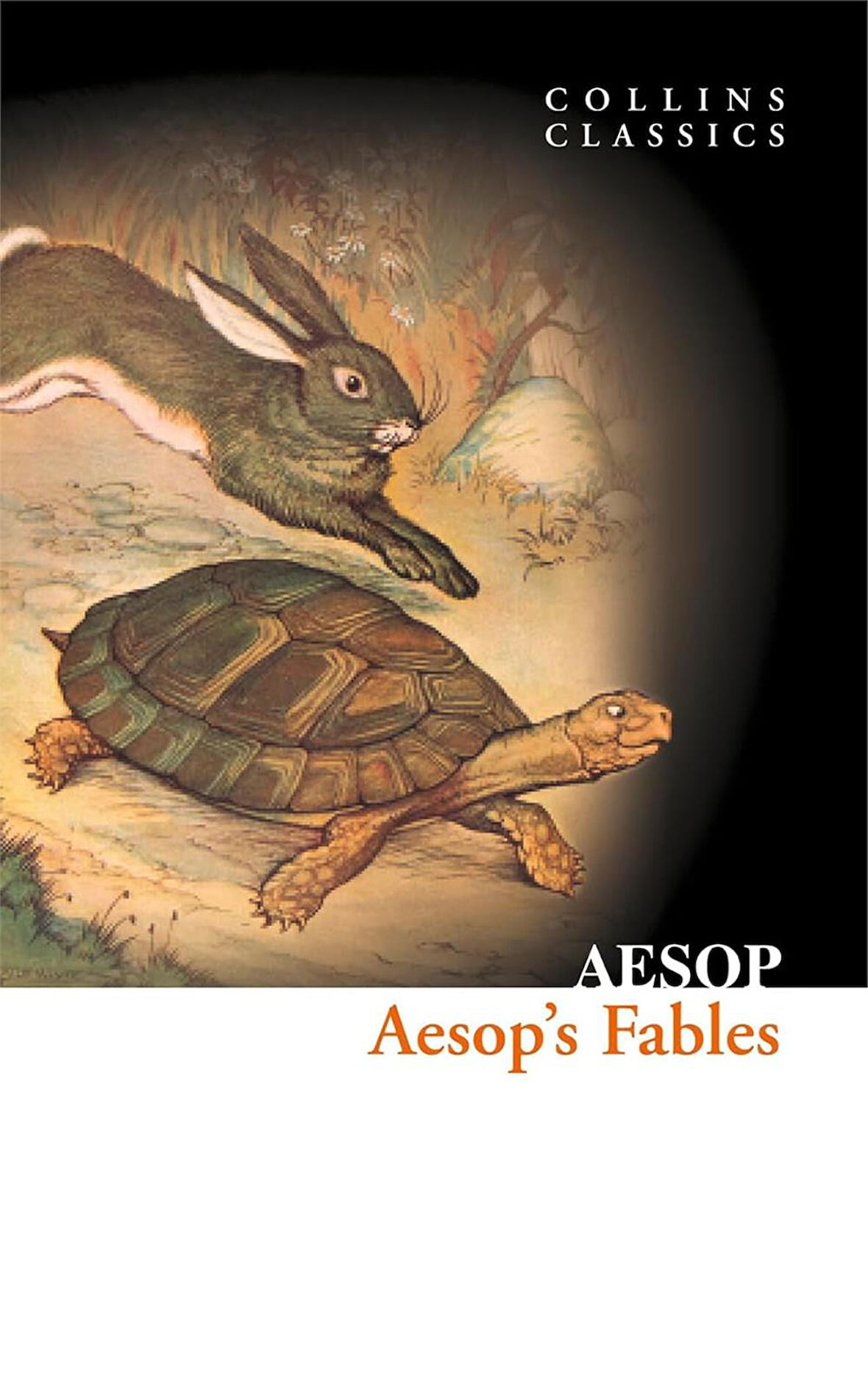 Aesop's Fables (Collins Classics)  - Aesop