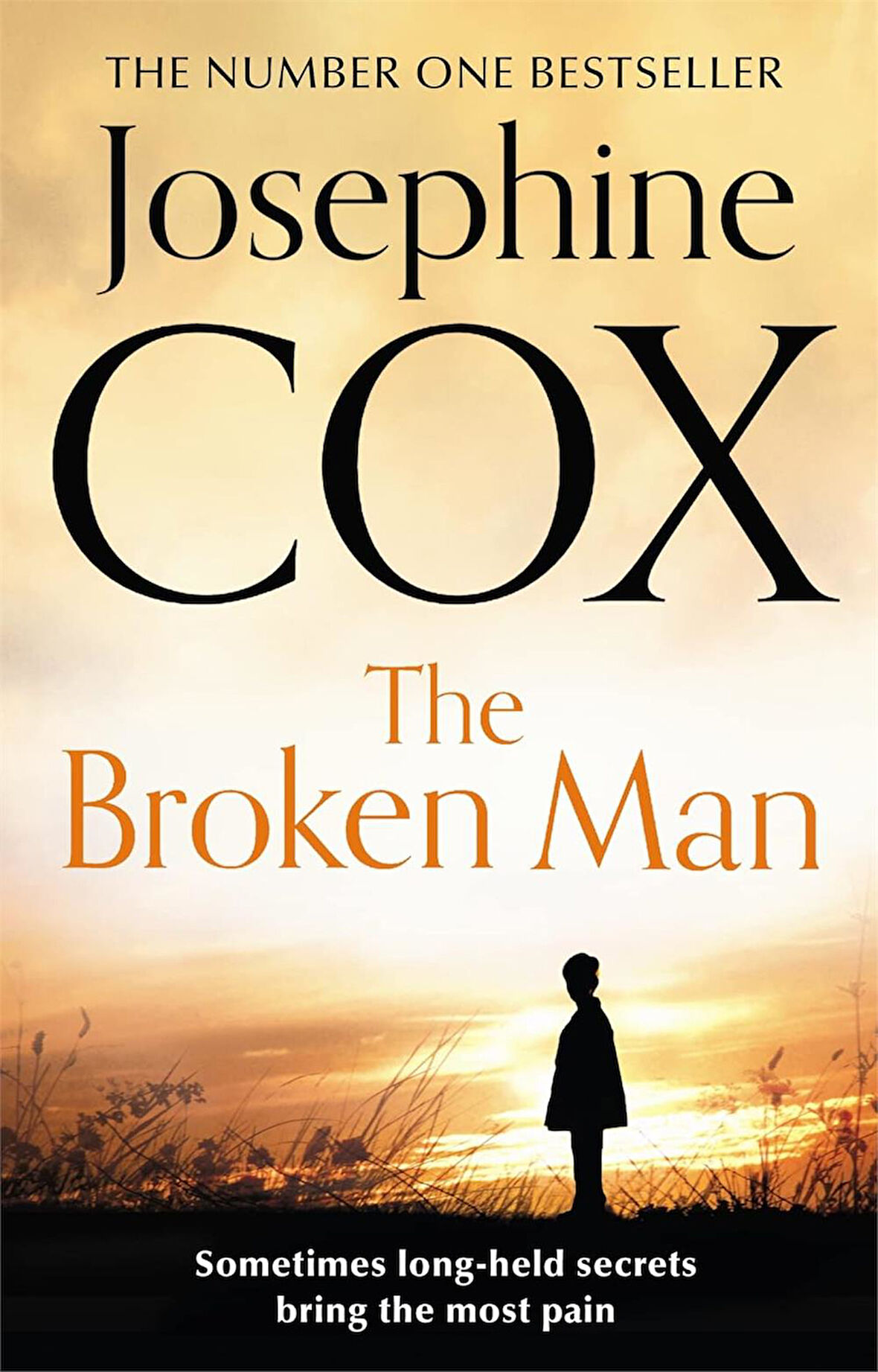 The Broken Man  -Josephine Cox