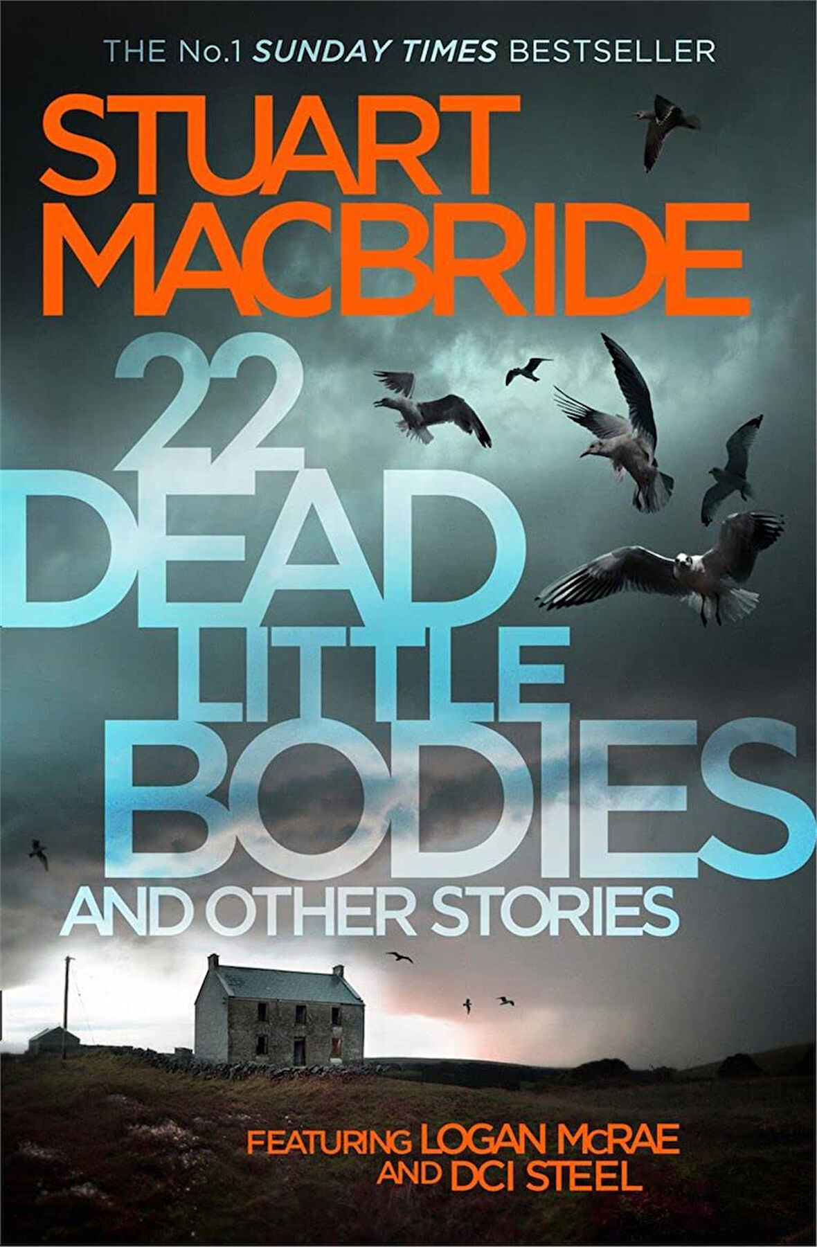 22 Dead Little Bodies  -Stuart Macbride