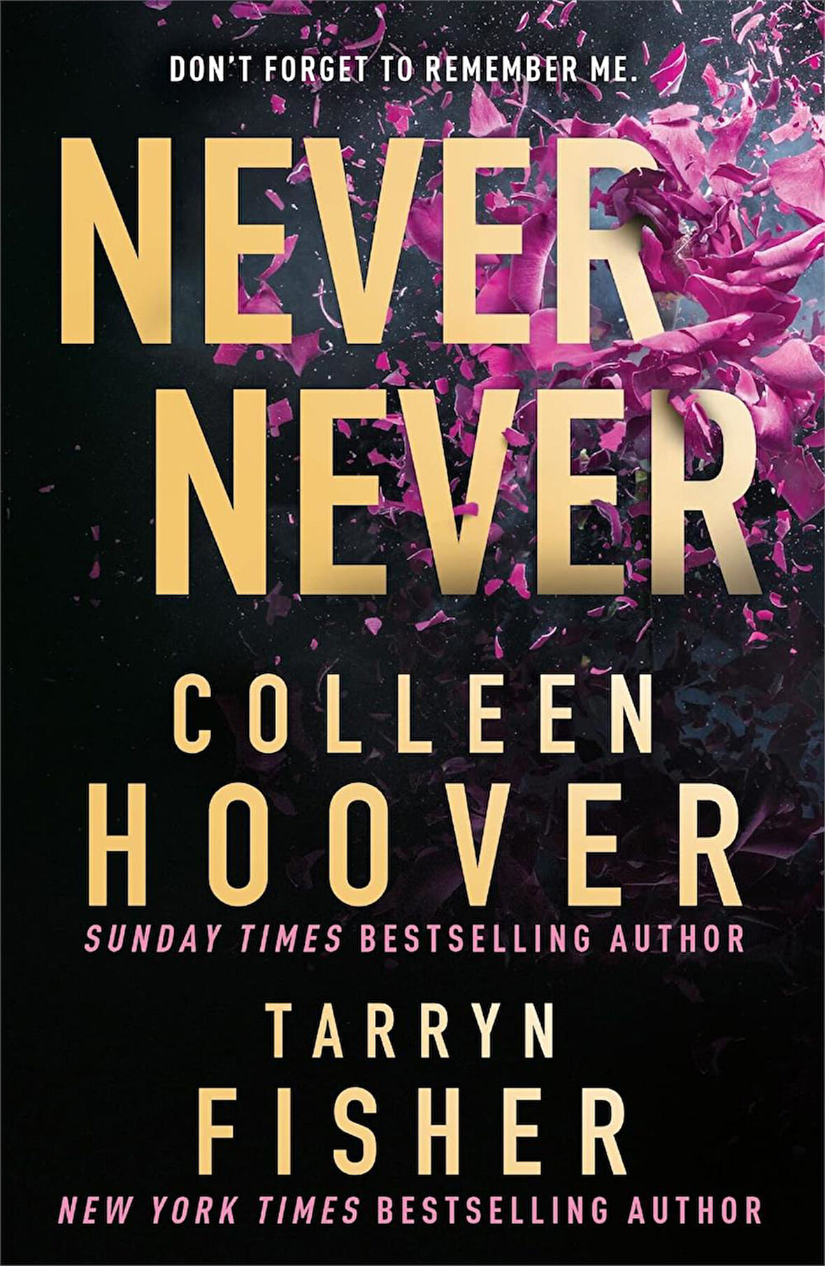 Never Never -Colleen Hoover