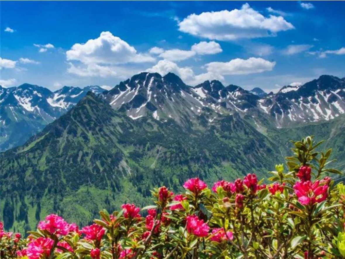 Movas Sanat Pembe Çiçekler ve Eşsiz Manzara Elmas Mozaik Tablo / Mozaik Puzzle 50x40cm E20202715M
