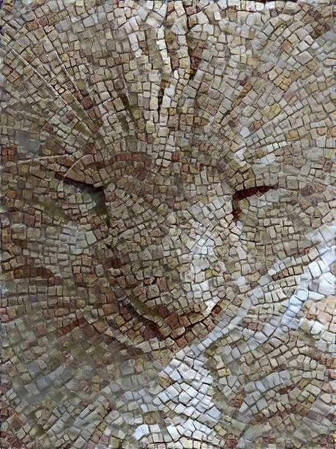 Movas Sanat Uyuyan Kedi Elmas Mozaik Tablo / Boncuk Goblen Yapıştırma 40x60cm E20202800M
