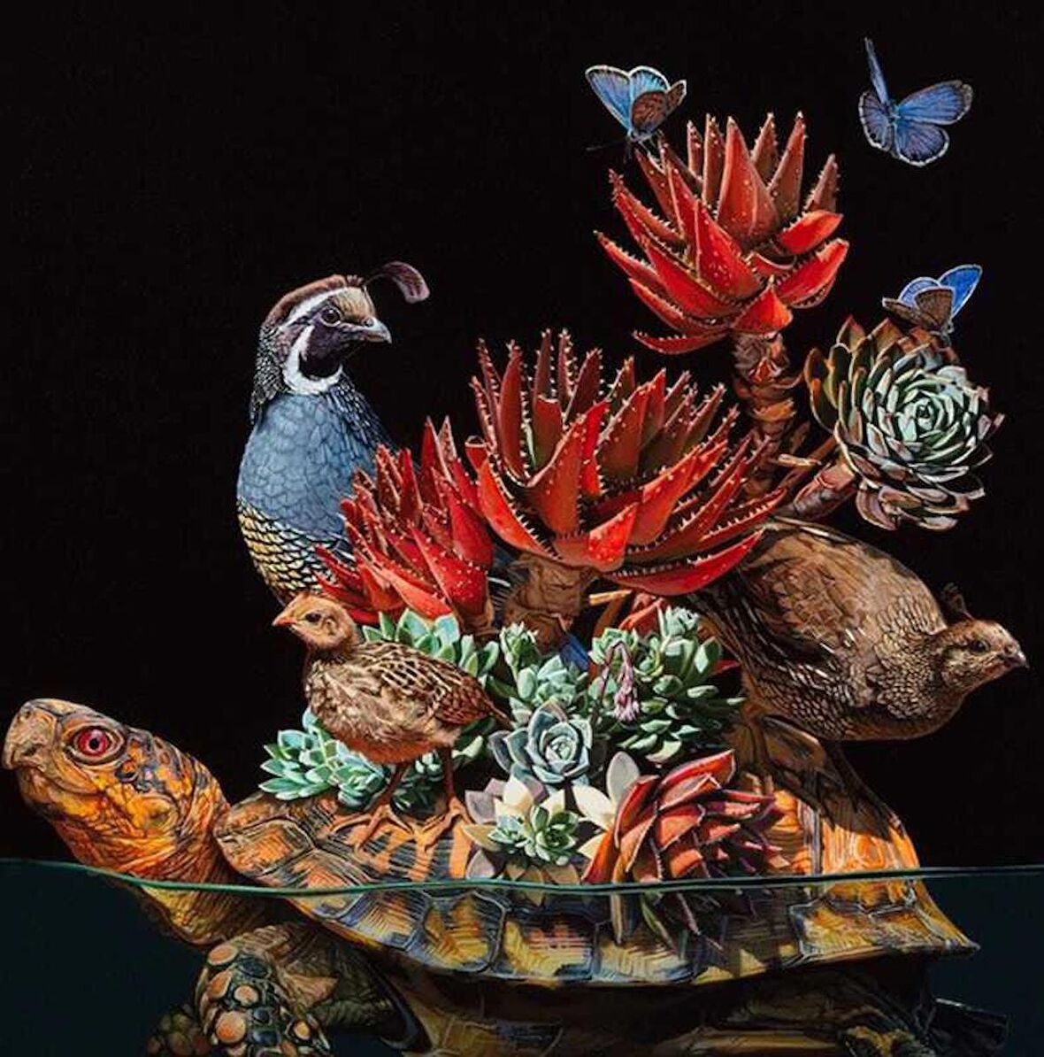 Movas Sanat Kaplumbağa'nın Sırtındaki Doğa Harikaları Elmas Mozaik Tablo/Puzzle 50x50cm E20202969M