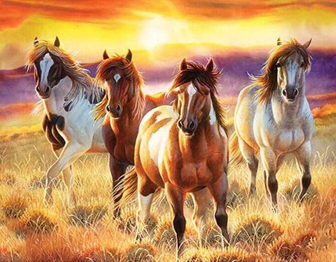 Movas Sanat Gün Batımındaki Atlar Diamond Painting 45x35cm E20203425