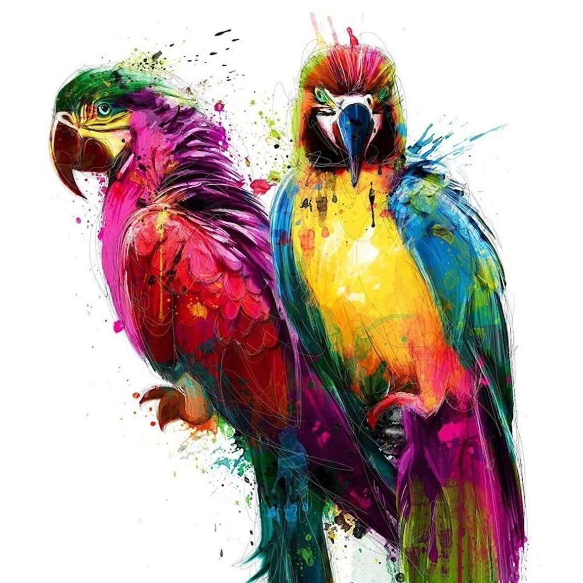 Movas Sanat 2 Güzel Renkli Papağan Elmas Mozaik Tablo 50x50cm E20203460