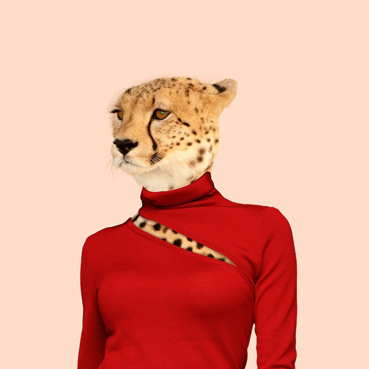 Movas Sanat Şık Bayan Leopar Elmas Mozaik Tablo / Hobi / Mozaik Puzzle 50x50cm E2020624
