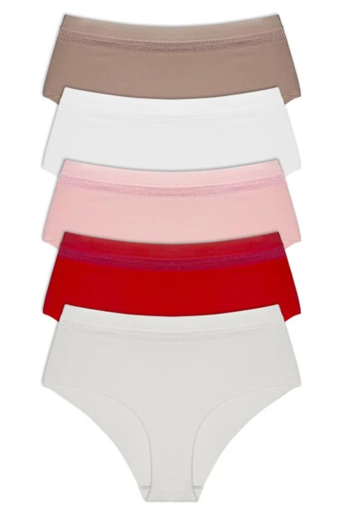 Lazer Kesim Lastik Detaylı Büyük Beden Bikini Külot 5'li Paket-3
