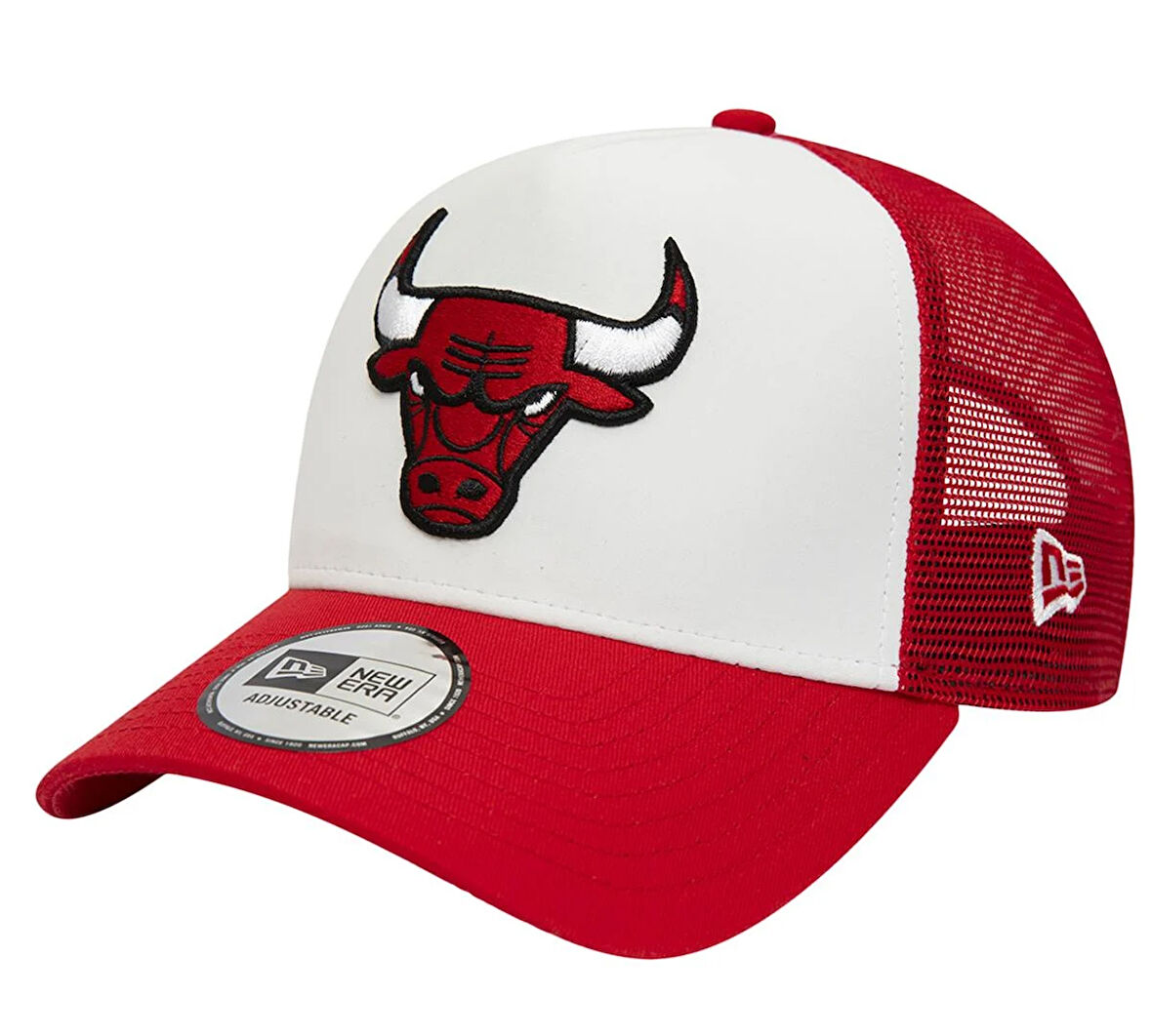 Chicago Bulls 60348855