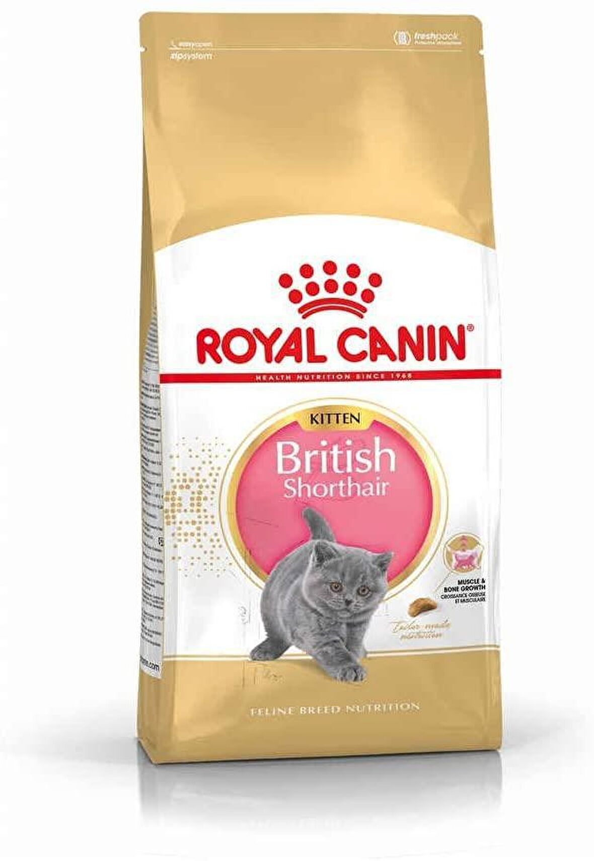 Royal Canin British Shorthair Kitten Yavru Irk Kedi Maması 2 Kg