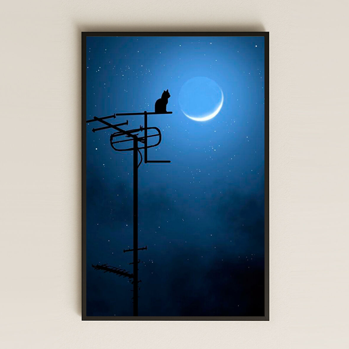 Gece Ay Işığında Anten Üzerinde Kedi Silueti Pleksi Tablo