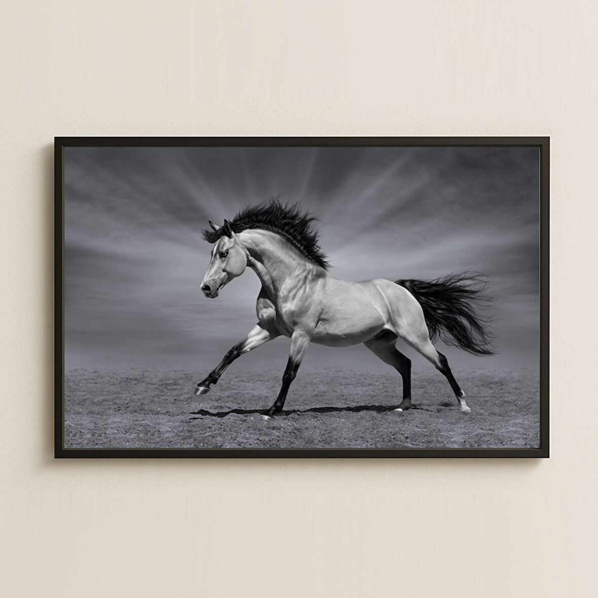 Siyah Beyaz Koşan At Fotoğraf Stil Pleksi Tablo