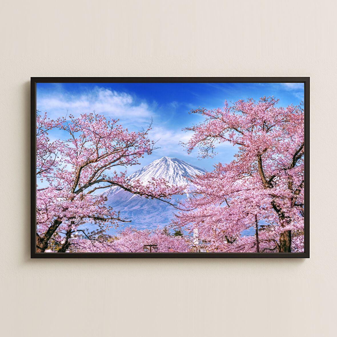 Fuji Dağı ve Sakura Ağaçları Manzara Dijital Fotoğraf Pleksi Tablo