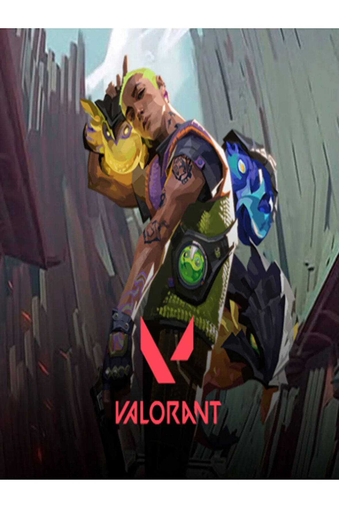 VATANGAME 7300 VP VALORANT POINTS