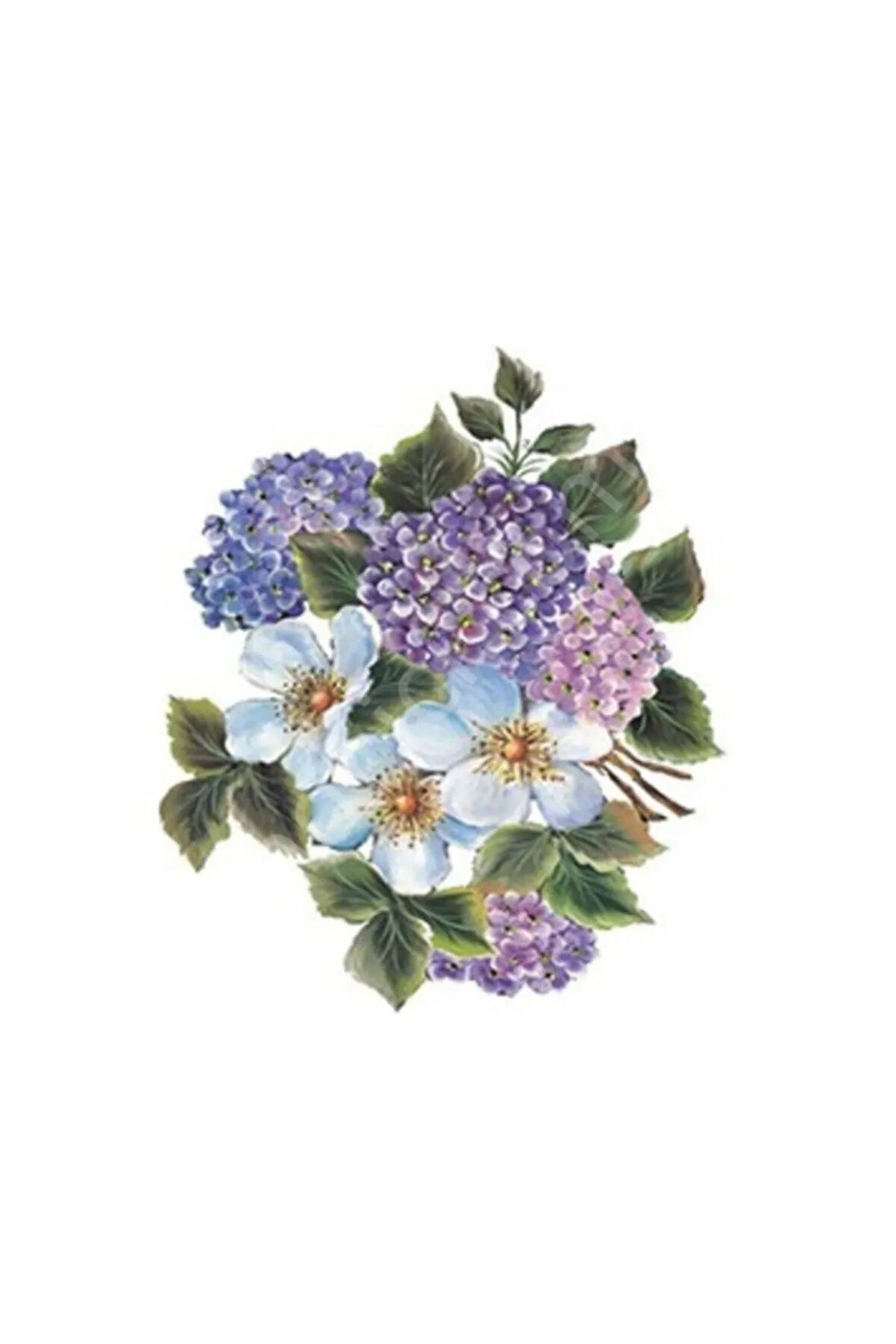 Xl06 35x50 Gülsün Ülkü