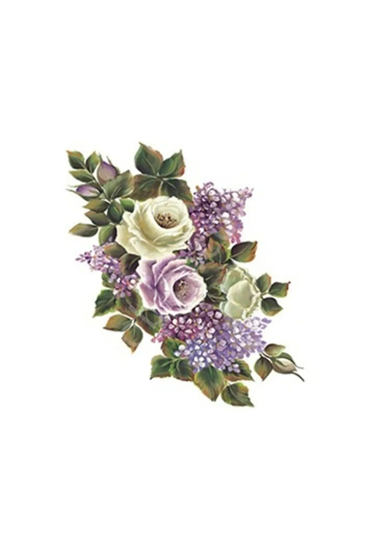 Xl04 35x50 Gülsün Ülkü