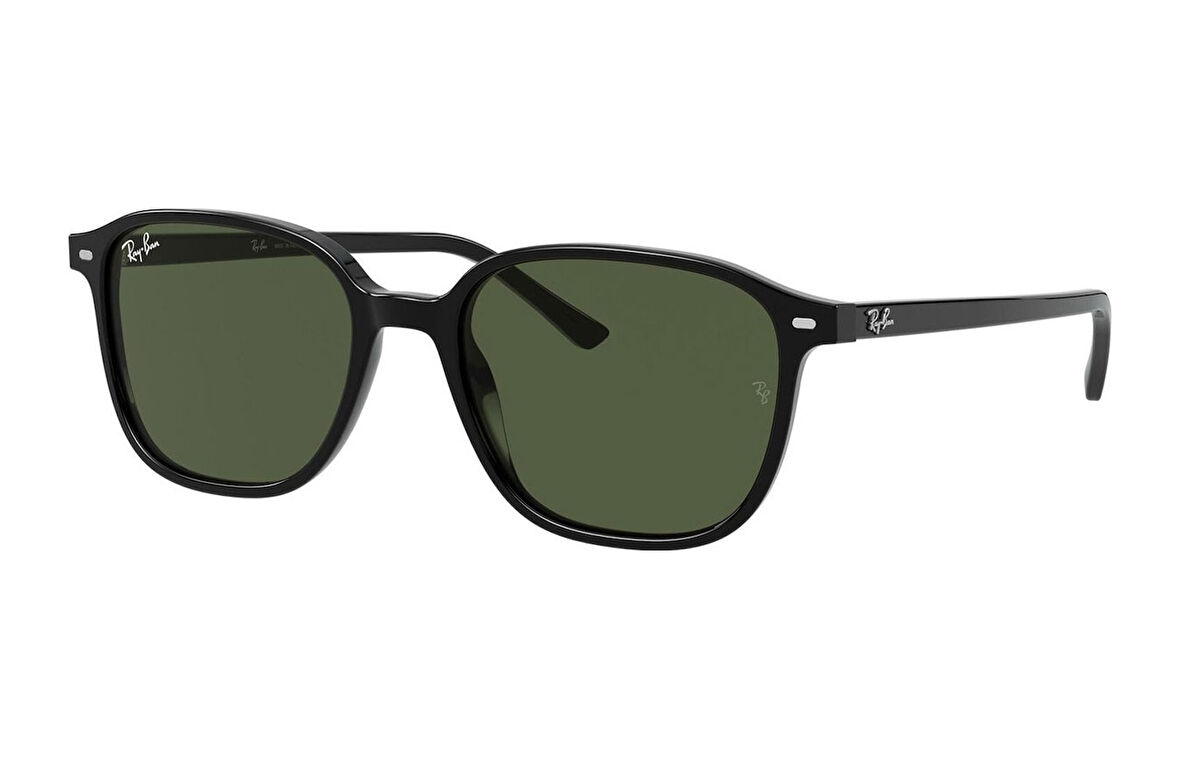 Ray-Ban RB2193 Leonard 901/31 Unisex Güneş Gözlüğü