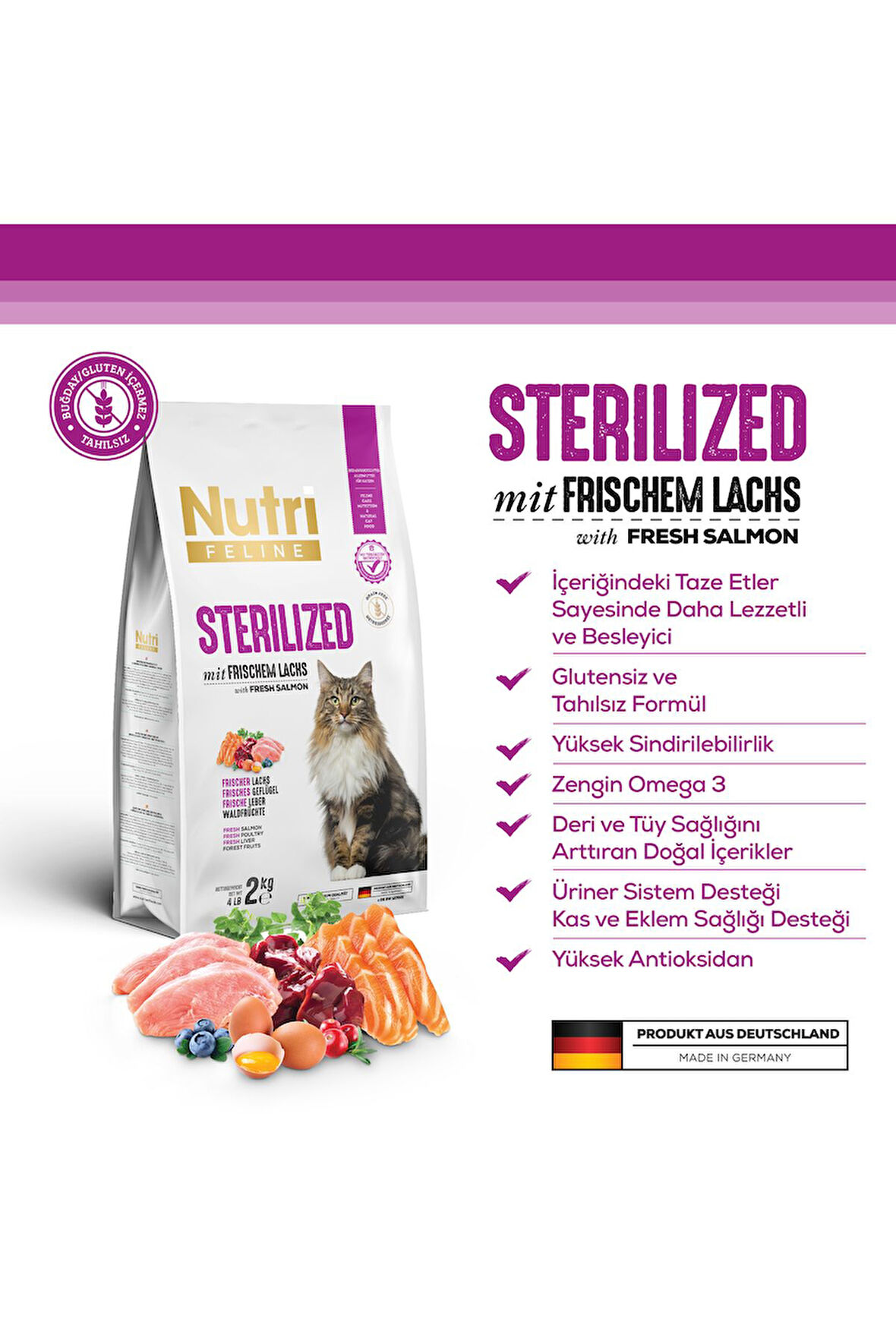 Adult Sterilised Kısırlaştırılmış Somonlu Yetişkin Kedi Maması 2 kg