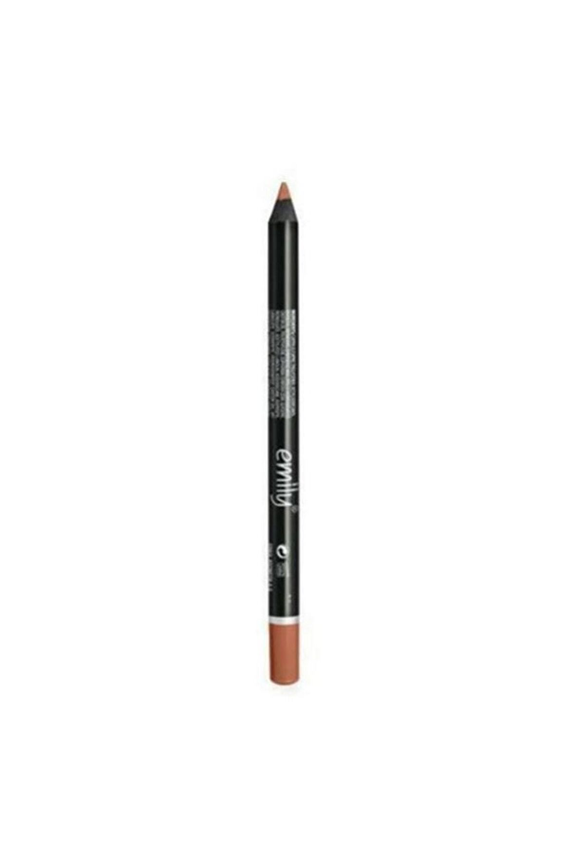 Golden Rose- Emily Long-lasting Lip Pencil 222 Dudak Kalemi