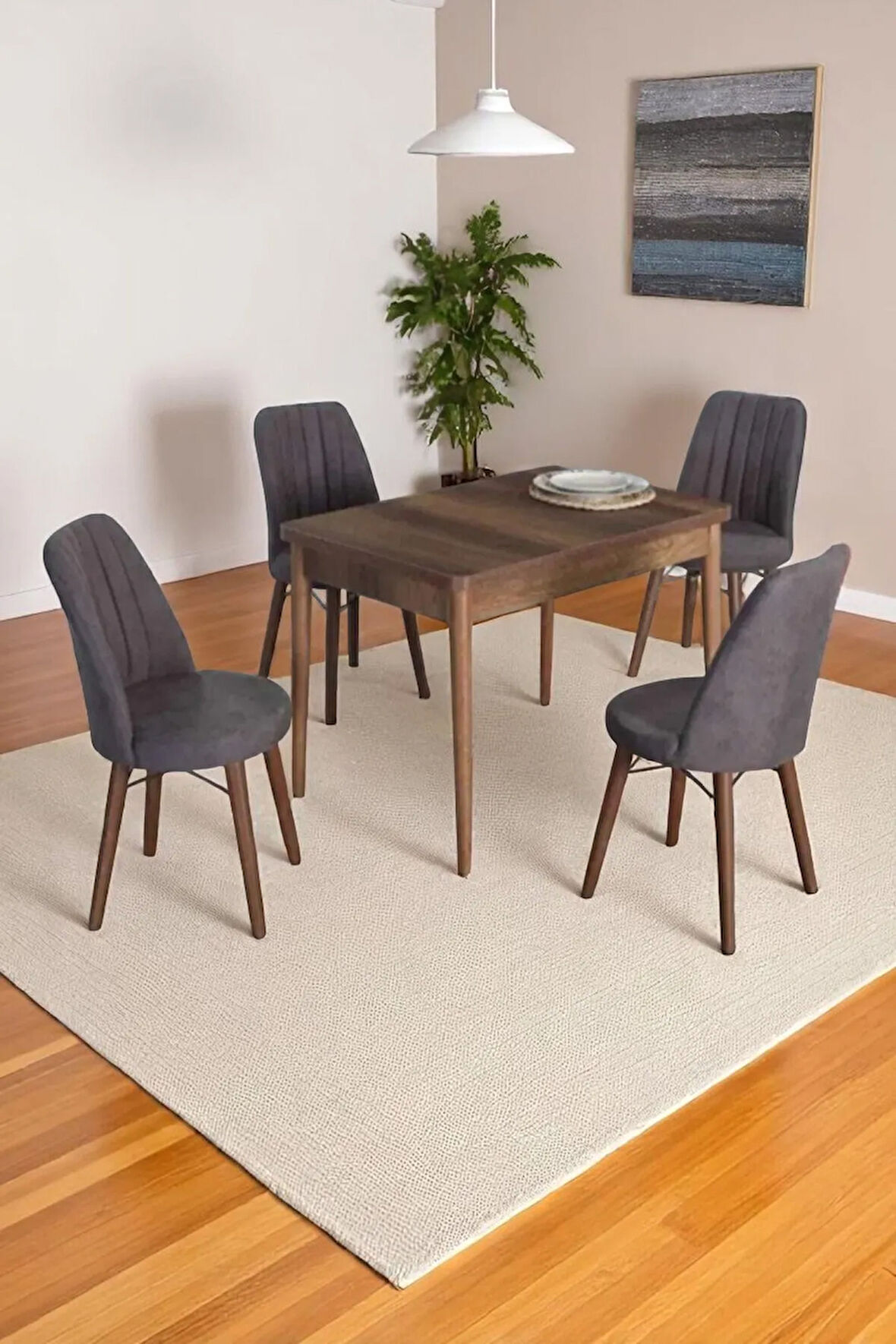 4 Kişilik Sabit Masa Sandalye Takımı 70x110 Cm Mutfak Masası Takımı Yemek Masası Masa Takımı