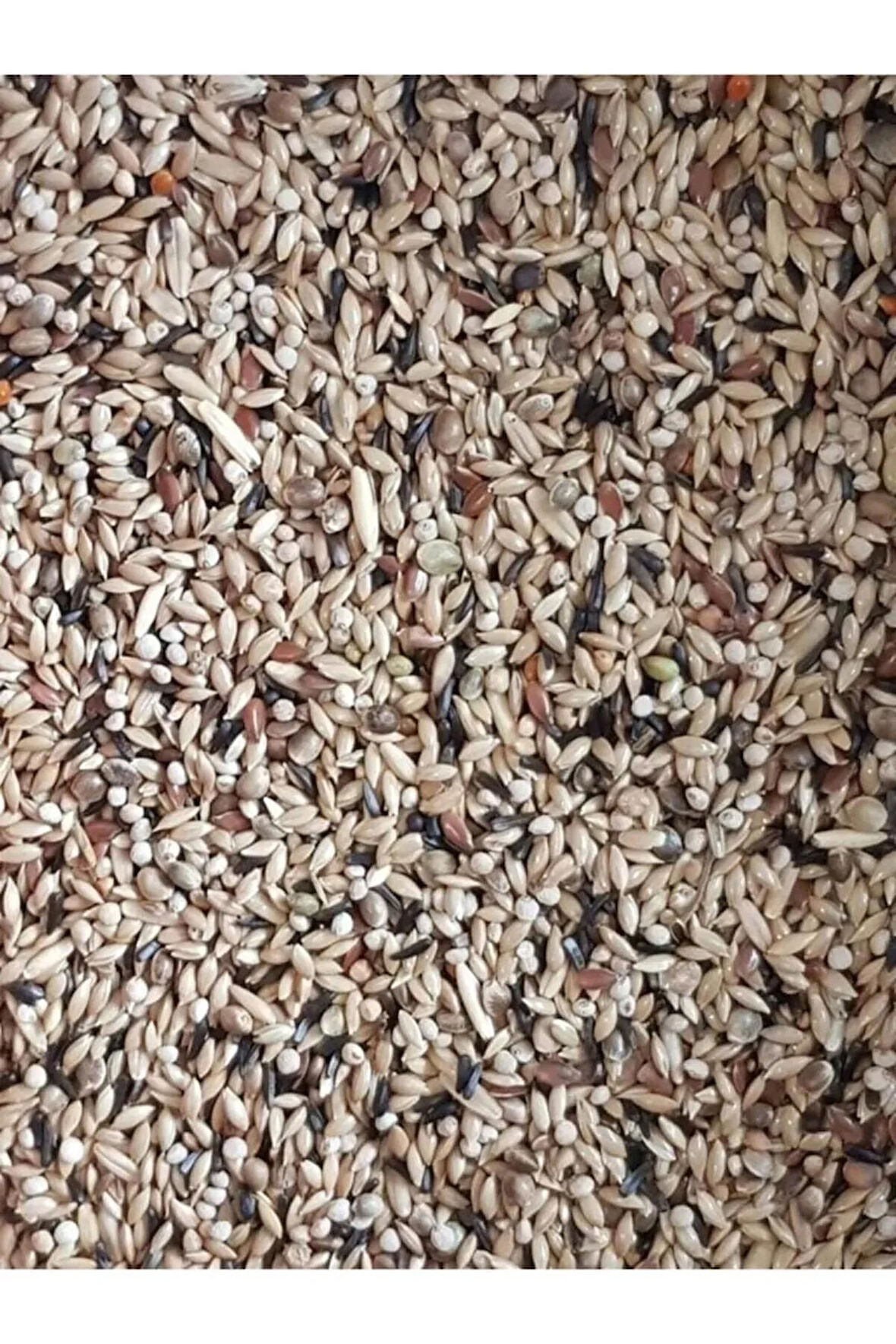 Karışık Kanarya Yemi 20 Kg