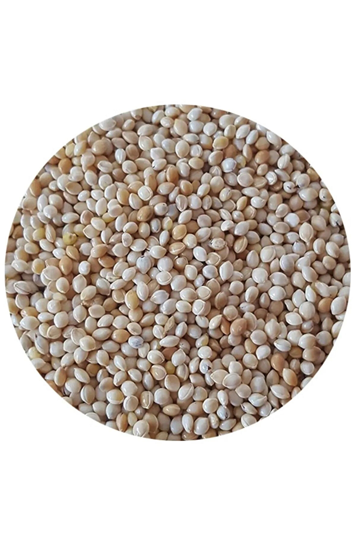 Sade Akdarı Kuş Yemi 3 Kg