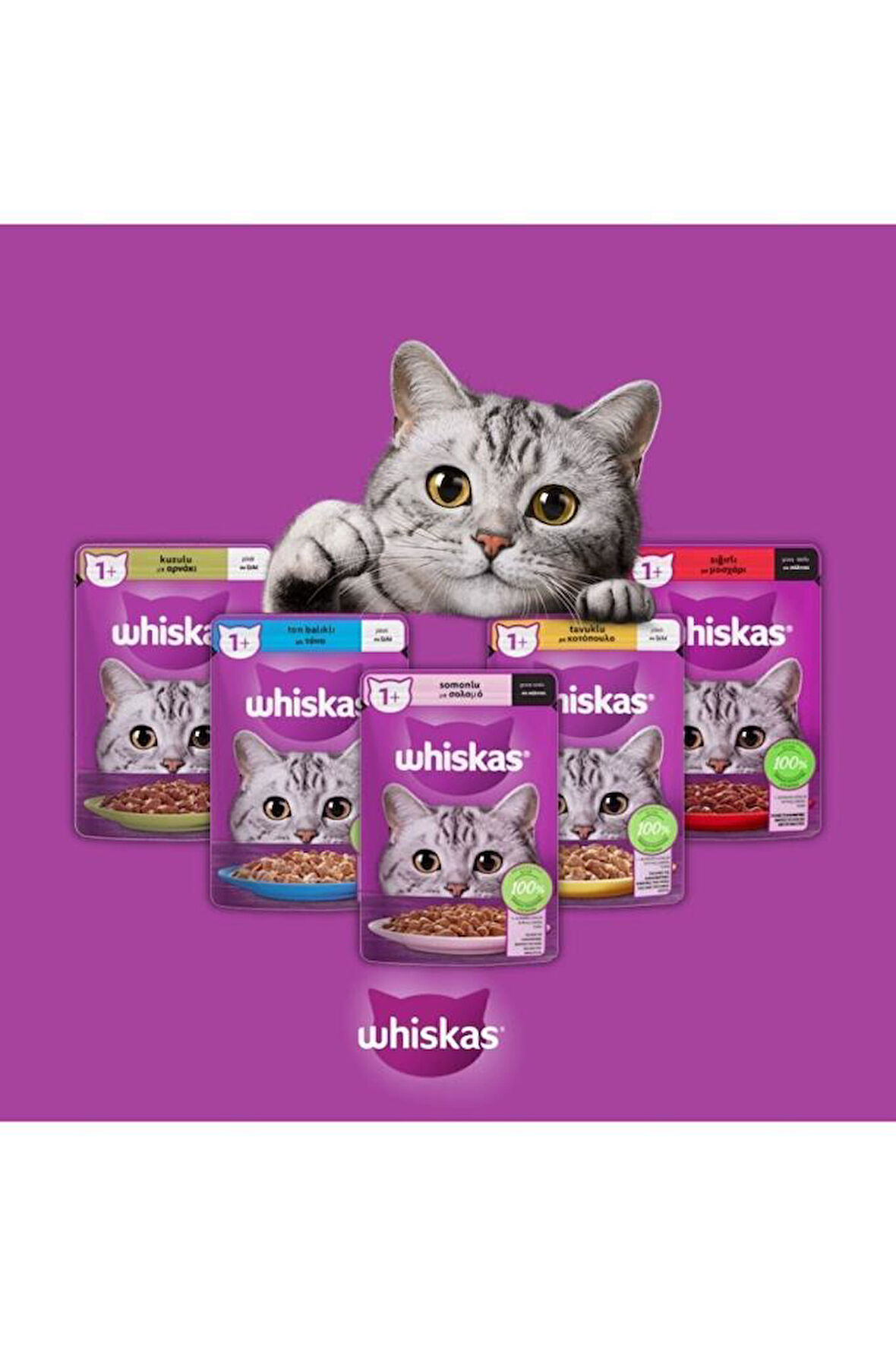 Whiskas Sığır 5 Adet Tavuk 5 Adet Somon 5 Adet Ton Balıklı 5 Adet Kuzulu 4 Adet Karışık Yaş Kedi Ma
