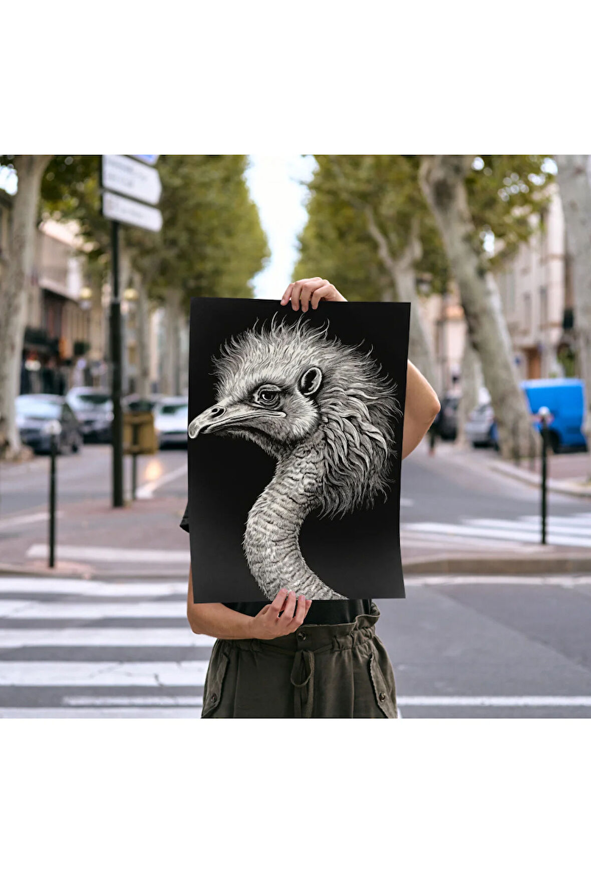 Çerçevesiz Poster Devekuşu