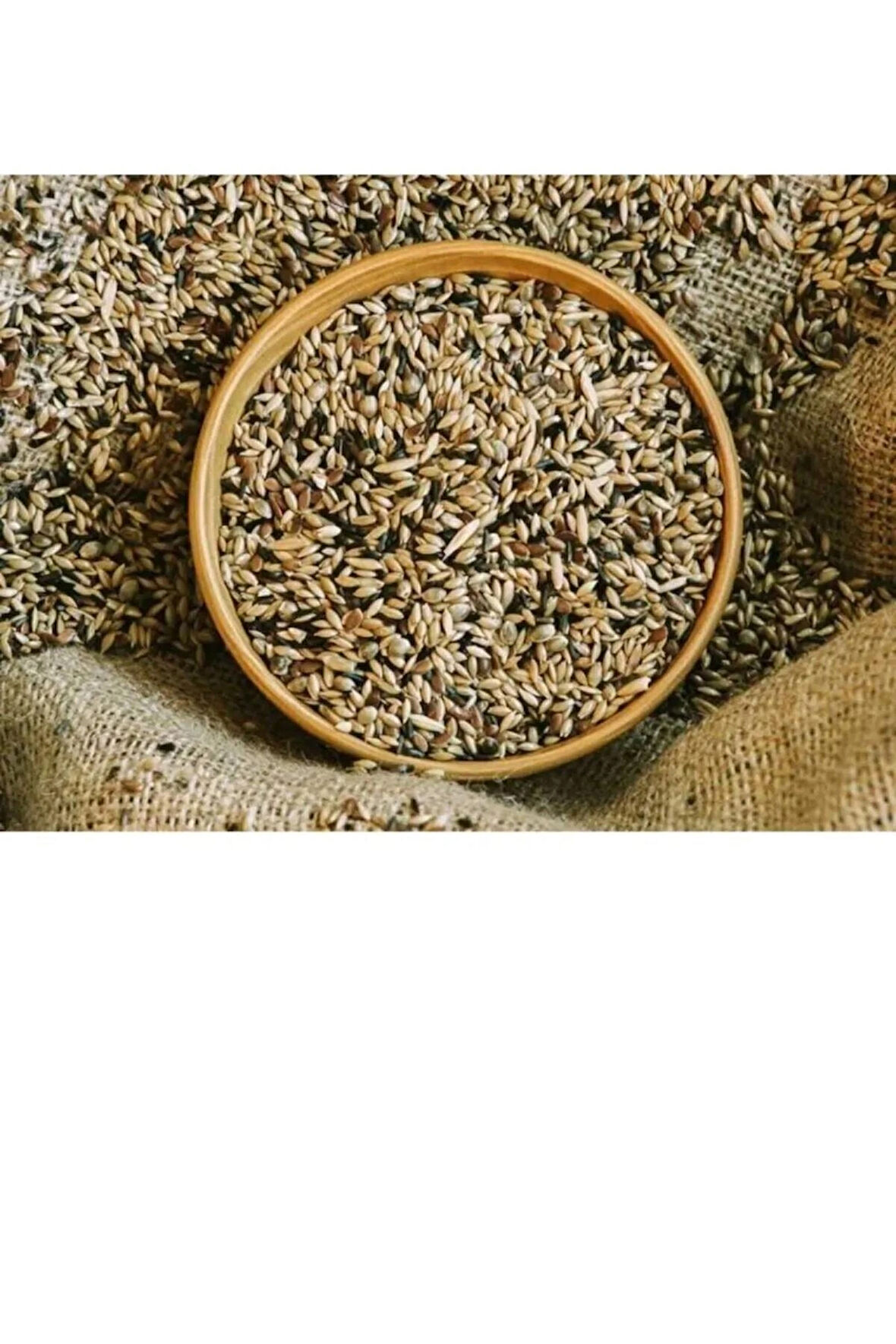 Karışık Kanarya Yemi 1 Kg