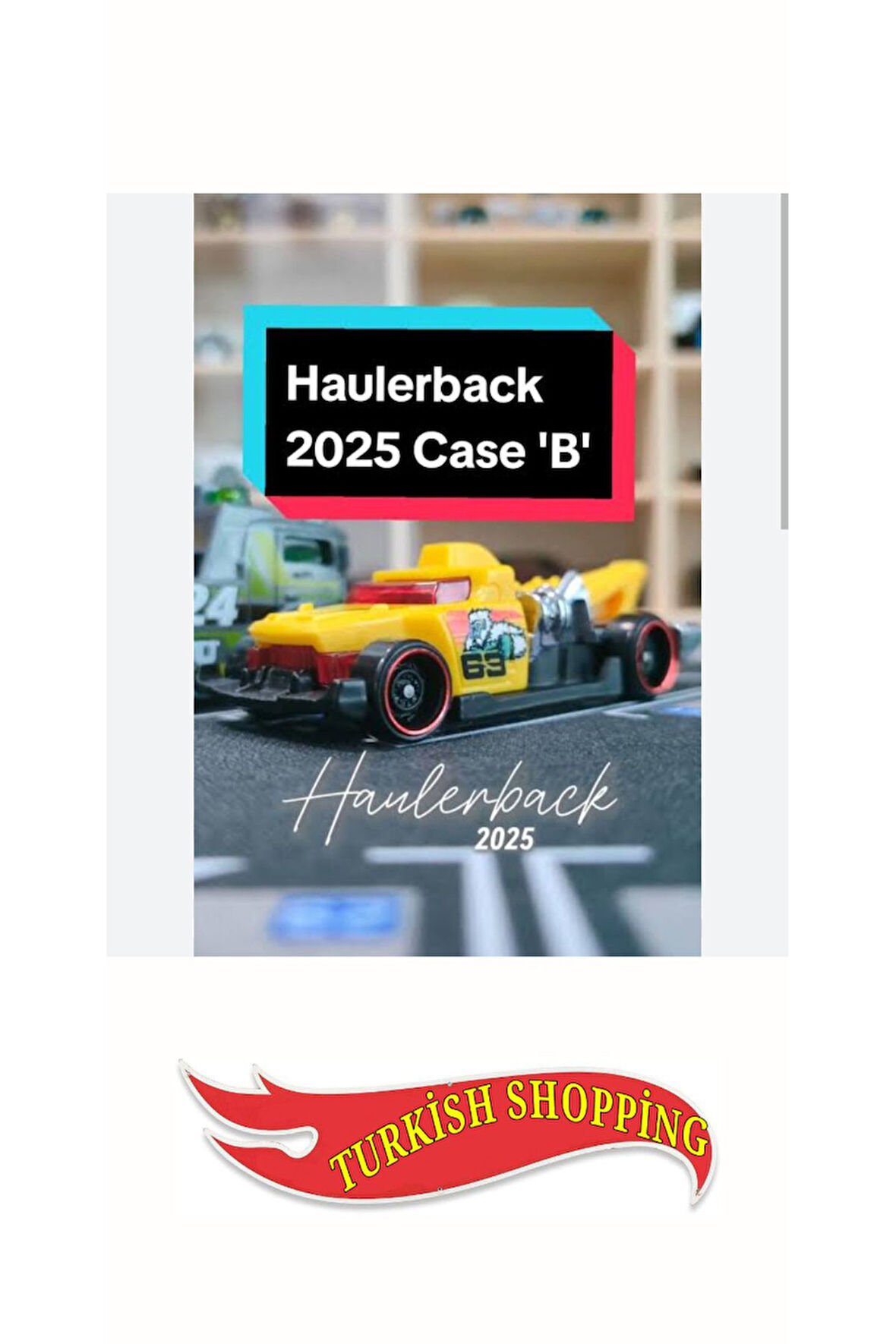 2025 Case 1:64 Ölçek Haulerback