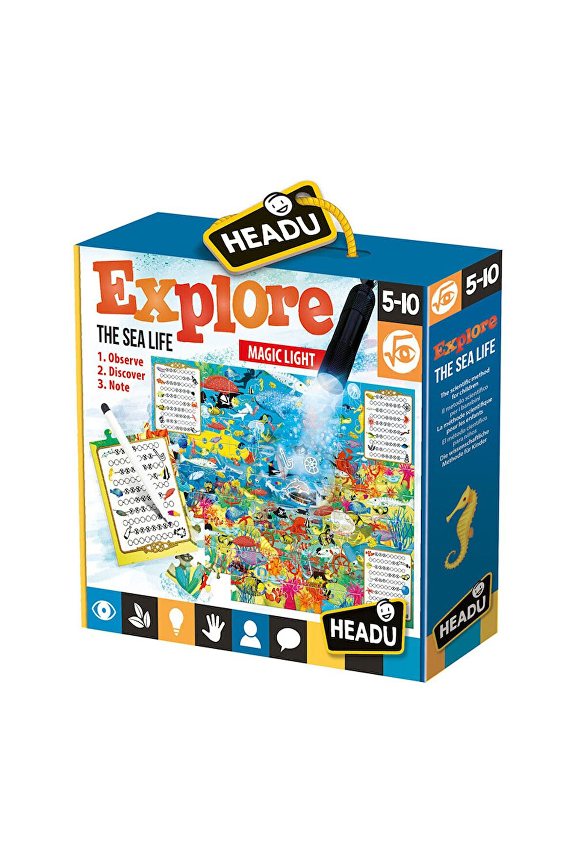 Deniz Yaşamı Keşfet Fenerli Etkinlik Yapbozu 5-10 Yaş 22311