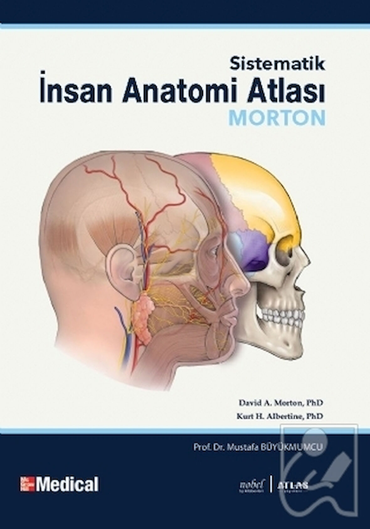 Morton İnsan Anatomi Atlası